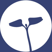 icon_logo-blue